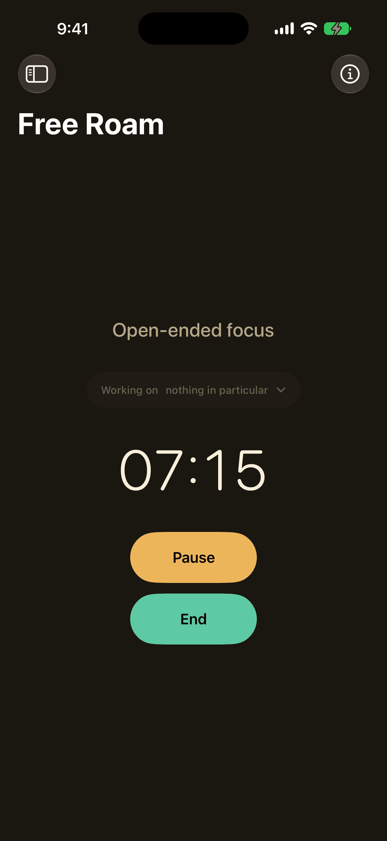 Free Roam running on iPhone: an open-ended timer counting up, reading 01:15 under the words Open-ended focus, with Pause and End beneath it